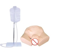 Simulateur de cathétérisme urétral masculin simple pour la formation en soins infirmiers en sciences médicales