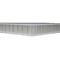 Panneau mural isolant en FRP pour toiture, conception de panneau mural insonorisant, panneau sandwich en FRP, exportation vers le Pérou/la Pologne/la Turquie, camping-car