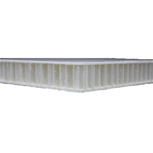 Insulation Roof Wall FRP <strong>Panel</strong> Design Noise Cancelling Wall <strong>Panel</strong> FRP Sandwich <strong>Panel</strong> Pir Export to Peru/poland/urkey Camping Car - Product Image 3