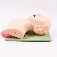 Modèle de formation à la simulation d'obstruction normale des voies respiratoires, premiers secours, RCP pour nourrissons et adultes, et formation à la réanimation en cas d'étouffement