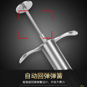 Multi Function 304 Stainless Steel Date Pitter For Red Dates Green Dates Cherries Home Use Fruit Vegetable Tools - Product Image 5