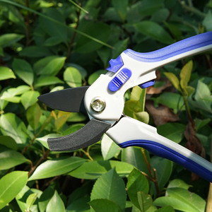 Les meilleures cisailles de jardinage pour couper les branches, les fleurs, des ciseaux de jardin utilisés pour l'entretien du jardin - Product Image 2