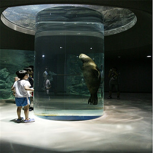 수족관 및 액세서리 원형 수족관 어항 아크릴 수족관 플라스틱 물 물고기 탱크 - Product Image 4