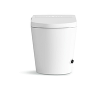 Toilette intelligente en céramique monobloc Toilette intelligente à double chasse d'eau avec veilleuse LED pour la maison et l'appartement