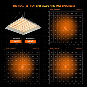 Kit <span class=keywords><strong>complet</strong></span> de tente de <span class=keywords><strong>culture</strong></span> intérieure hydroponique étanche pour jardin domestique - Product Image 5