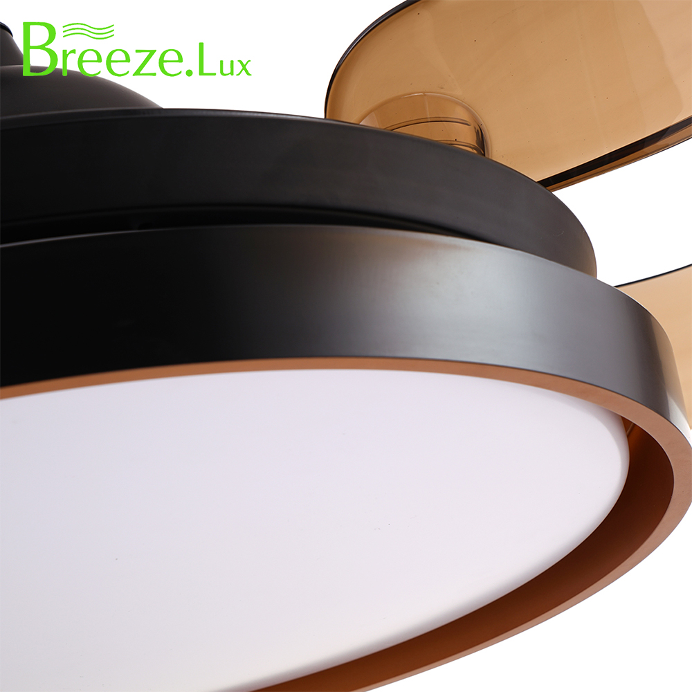 Decorative ceiling fan light