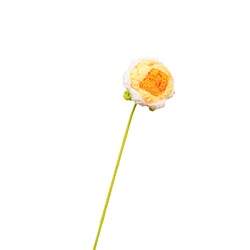 Rose jaune dégradé