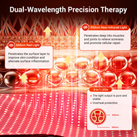 Couverture de luminothérapie rouge 660nm 850nm, appareil de photobiomodulation, PBM corps entier pour centres de bien-être