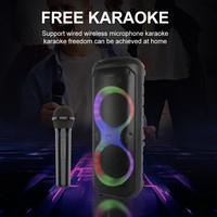Commande en gros Sing-e ZQS10215 Double haut-parleur en plastique 10 pouces 30W 5.0 avec 2 microphones sans fil RGB et télécommande