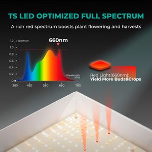 Lámpara de Cultivo LED Cuántica de Espectro Completo Regulable de Alta Eficiencia <span class=keywords><strong>Mars</strong></span> Hydro TSW-2000 de 300W para Plantas de Interior - Product Image 3