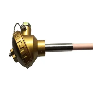 High temperature 300C to 1600C S type thermocouple with Protection tube