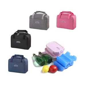Portable And Large Capacity 25*14*19CM Insulated Lunch Bag With Healthy And Environmentally Friendly Aluminum Film