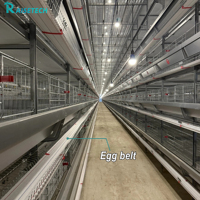 Nouveau système de cages en H entièrement automatique pour l'élevage de poulets, avec collecte des œufs, alimentation et abreuvement, en acier galvanisé à chaud, équipement avicole