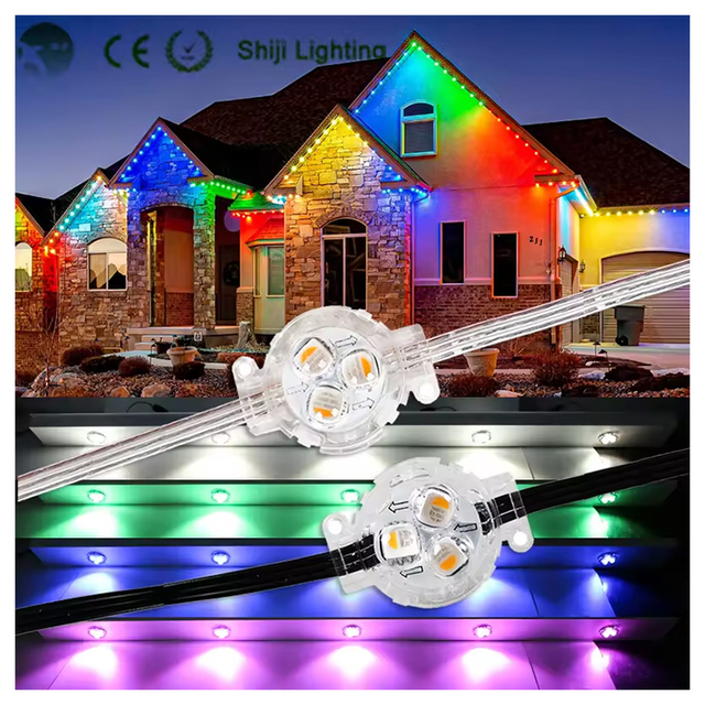SHIJI Manufacturer Permanent 30mm Christmas Outdoor Smart Pixel Led Light Waterproof Led Point Light Source