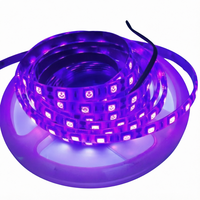 Pohon Natal IP65 dengan Lampu LED 24V Slim Lebar PCB 10mm Kepadatan Tinggi 120Leds UCS8603 Lampu Strip LED RGB untuk Dekorasi Natal