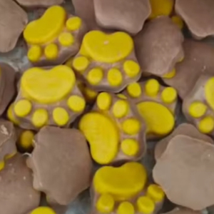 Torte di carne di ossa crude liofilizzate <span class=keywords><strong>biscotti</strong></span> per dentizione a forma di artiglio per cani e gatti snack per animali domestici cibo secco - Product Image 4