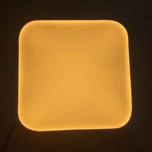 3000K 4000K 5000K 6000K 5V PMMA acrylic LED plate from shanghai Supplier