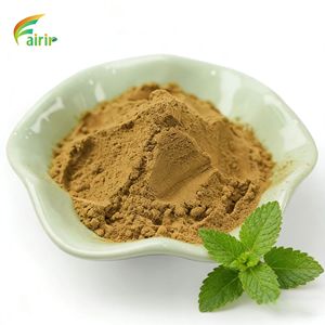 Poudre <span class=keywords><strong>de</strong></span> jus <span class=keywords><strong>de</strong></span> menthe poivrée Fairir, <span class=keywords><strong>prix</strong></span> direct usine, poudre fine marron clair pour boissons rafraîchissantes, OEM/ODM - Product Image 1