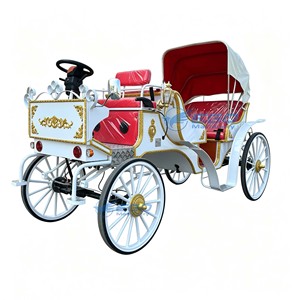 Chinese Factory Direct Supply White Electric Sightseeing Horse Carriage Red Seat Custom Patterns & Colors CE Certified - Product Image 4