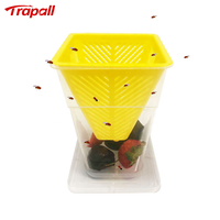 Piège à mouches à fruits en plastique non toxique et sans danger pour les enfants, avec appât aux fruits ou au jus, attrape-insectes