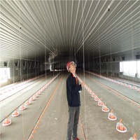 Nouvelle Conception de Bâtiment Commercial Professionnel pour Élevage de Poulets – Solution Clé en Main pour Poulaillers de Poulets de Chair avec Cages Préfabriquées