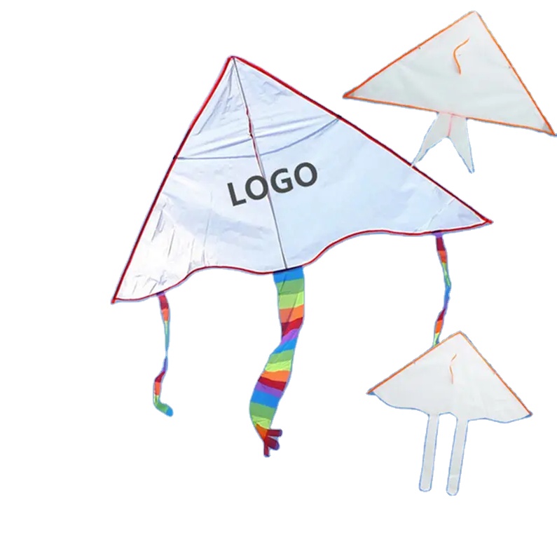 Flying Custom Printed Cometa Large Kite delta kite for sale