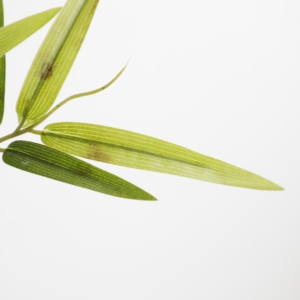 Thiết Kế Mới Nhà Máy Nhân Tạo Phòng Tre Đương đại Nhà Máy Trong Màu Đen/Trắng Gốm Nồi & Đá - Product Image 3