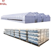 Film plastique transparent pour serre, résistant aux UV, 8 mil, polyéthylène agricole, film de couverture de serre robuste 8 mil