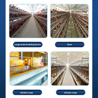 Équipement d'élevage de poules pondeuses de type A/H à prix abordable et de qualité supérieure – Cages à poulets pour fermes avicoles