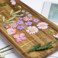 D072 Pack de matériaux DIY, fleurs séchées pressées naturelles et réelles