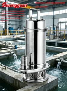 Pompe submersible haute capacité en acier inoxydable SS304 pour eau propre, conception extractible QDX, pompe industrielle pour levage d'eau, 1,5 m³/h, 22 m - Product Image 2