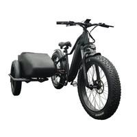 OUKA Design 3 Wheel Electric Bicycle Cargo Bike Trike With Fat Tire Retro Sidecar 36V 250W 48V 750W 48v 500w Vintage Old Ebike