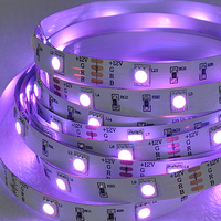 Pengendali Jarak Jauh APP Lampu Latar Pintar Fleksibel SMD5050 RGB LED Strip 12V/24V 30/60/120Leds/m IP65/68 Lanskap