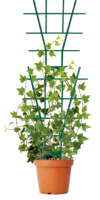 Shenniu — Support plastique pour plantes grimpantes, cadre en treillis, tige de tige, anneau pour fleurs de jardin