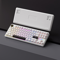 New IP87 USB Type-C Wired Membrane Keyboard Mechanical Feel 87 Keys Rollover RGB Backlit Plastic Gaming Desktop Office Typing