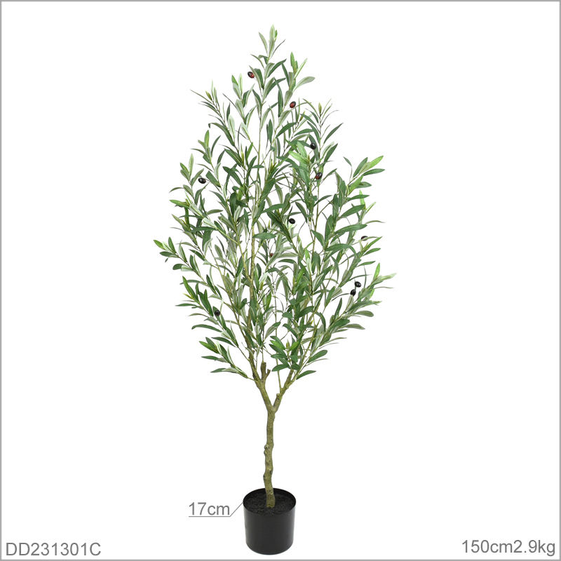 150 cm (Tige plus épaisse)