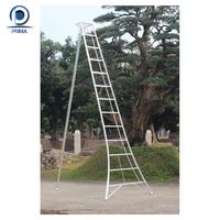 Échelle prime en aluminium, toit télescopique en plastique en acier Commercial, échelle pliante en aluminium personnalisée