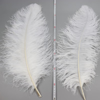 Plumes d'autruche stérilisées et teintes de 70-75 cm (couleur personnalisée) HKFeathers pour mariages, carnavals, festivals naturels - Cadeau directement de l'usine