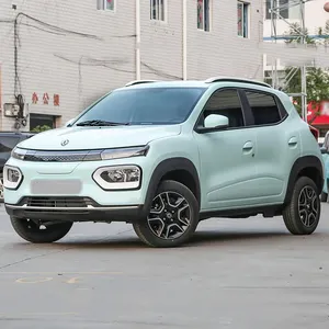 2022 4 좌석 Suv Dongfeng Ex1 Nano 상자 성인 새로운 에너지 차량 전기 자동차