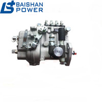 Kipor Diesel Engine Injection Pump, BHF4PL080040