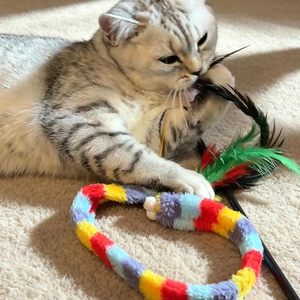 Rainbow Caterpillar Interactive <b>Plush</b> Chew Teaser Toy <b>Cats</b> Eco-Friendly Safe Cartoon Pet <b>Cat</b> Toy for <b>Cat</b> - Product Image 2