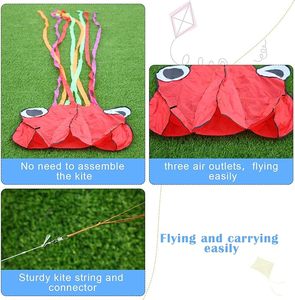 Venta caliente 3D Octopus Kite con cola larga para niños Kite con Easy Flying Beach Game Flying Kites - Product Image 4