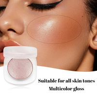 Palette de poudre illuminatrice scintillante imperméable personnalisable avec votre logo – Vente en gros, longue tenue, naturelle, végétalienne, marque privée