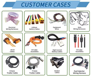 Kabel Terminal Cetak Injeksi Berinsulasi PVC Seri 5557/5559/MX3.0 yang Disesuaikan untuk Kursi Angkat Rumah Pintar - Product Image 6