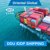 Tarifs compétitifs Logistique DDP Porte-à-Porte Transitaire LCL+Express Agent Maritime de Chine vers AE 20-35 Jours