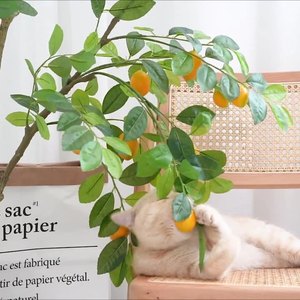 <span class=keywords><strong>Fleurs</strong></span> décoratives d'intérieur de grande taille en gros Citronnier artificiel populaire en ligne Plante Mariage Occasion de Pâques Plantes en pot - Product Image 1