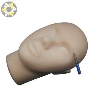 La <span class=keywords><strong>Scienza</strong></span> medica Modello di <span class=keywords><strong>Formazione</strong></span> del Silicone Viso con Gli Occhi del naso del Labbro per la Chirurgia Plastica Pratica - Product Image 2