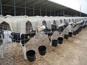 DEMA DMCH-220 Dayanıklı Galvaniz Çelik ve Polietilen H Tipi Dış Mekan Buzağı Kulübesi/Barınağı Yetiştirme Kafesi Kullanımı Kolay Yeni - Product Image 6