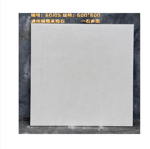 Carreaux <span class=keywords><strong>de</strong></span> sol intérieurs antidérapants en céramique antibactérienne 600x600mm pour écoles, dortoirs, chantiers <span class=keywords><strong>de</strong></span> construction et maisons <span class=keywords><strong>de</strong></span> <span class=keywords><strong>location</strong></span> - Product Image 6