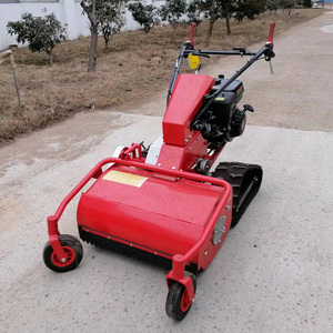 Dispositivo magico per il diserbo da giardino multifunzionale per il piccolo tosaerba domestico - Product Image 1